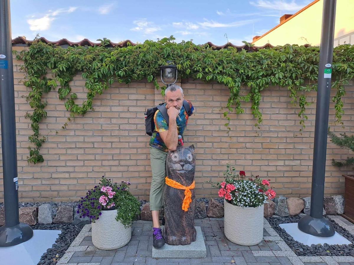 Vilnius Cat Friendly Apartment Luaran gambar